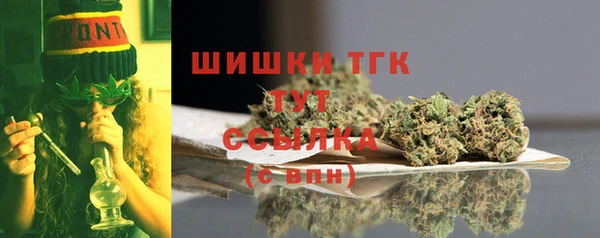 apvp Верея