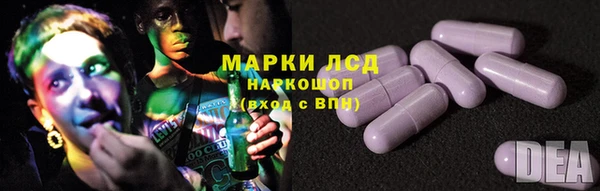 apvp Верея