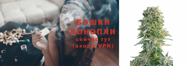 соль ск Верхний Тагил