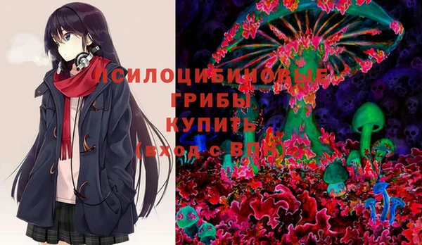 apvp Верея