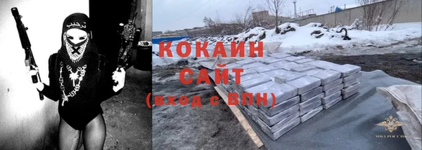 соль ск Верхний Тагил